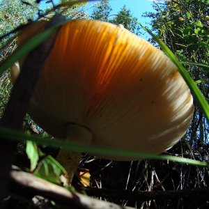 DSC04104.JPG