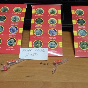 20170304-180418.jpg