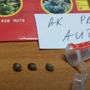 20170304-180536.jpg
