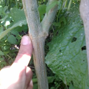 080720162801.jpg