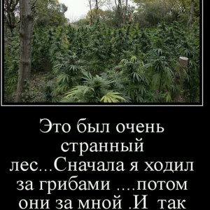 IMG_20180303_125307_30.jpg