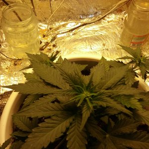 20170515_134138.jpg