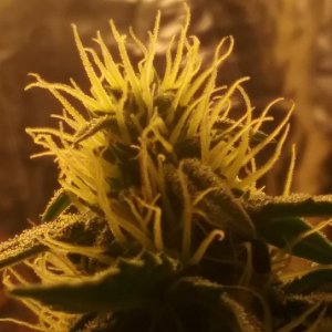 20170601_153949.jpg