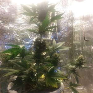 20170615_134227.jpg