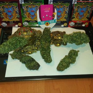 Зелёные