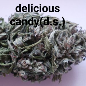 delicious candy