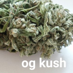 Og Kush аутдор