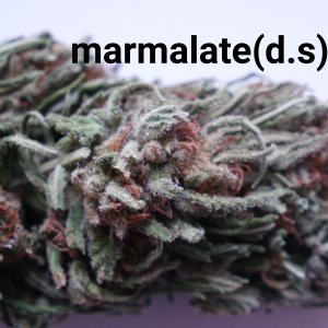 marmalate