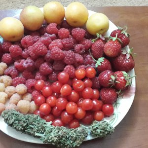 Хап