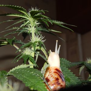 DSCN3068.JPG