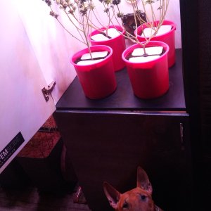 Matador 10 week 1
