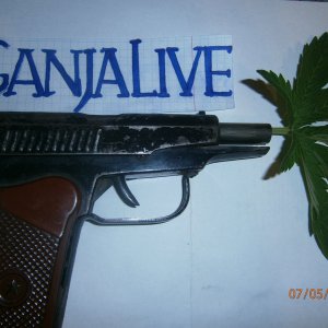 Травострел