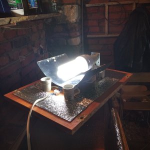 ESL_LAMP_50W_6400K.jpg