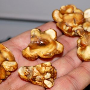 золотые трюфеля galindoi.jpg