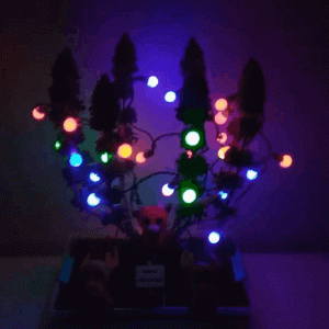 GIF-201229_160639.gif