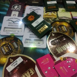 GanjaSeeds