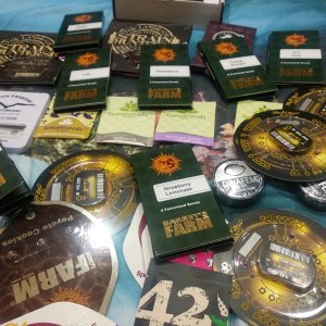 Орехи через GanjaSeeds