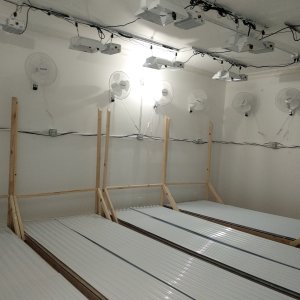 GrowRoom № 1