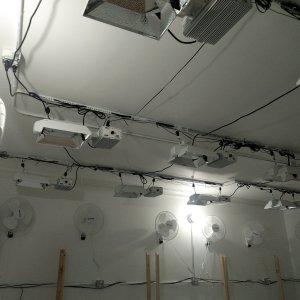 GrowRoom № 1