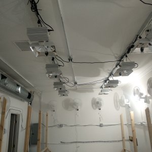 GrowRoom № 2