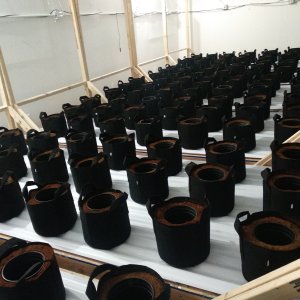 GrowRoom № 2