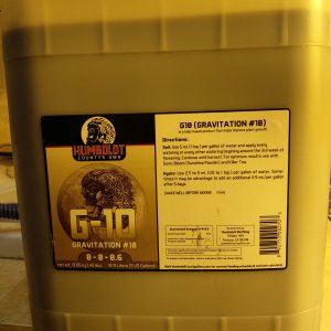 G-10