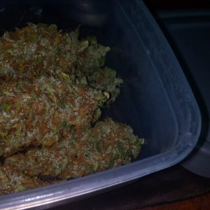FFT6 Fast Buds