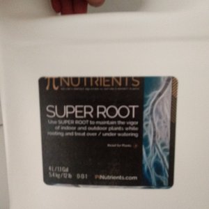 SUPER ROOT