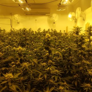 Фото без включенных HPS