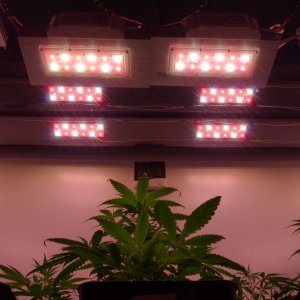360w - 1M2