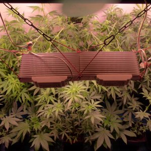 HST - Supercpopping