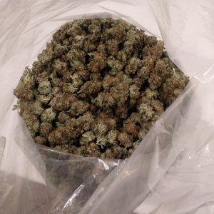 Харвест