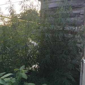 14 \ 07
