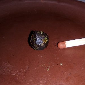 Живая Смола.jpg