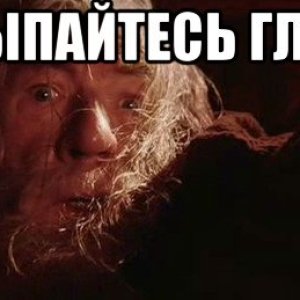 begite-glupcy_156955152_orig_.jpg