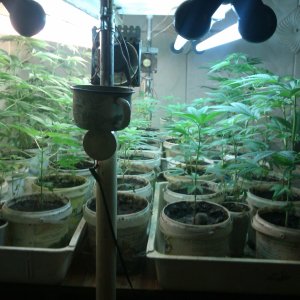 IMAG0033.jpg