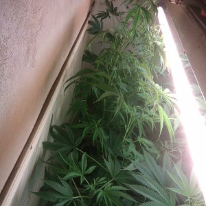 IMAG0073.jpg