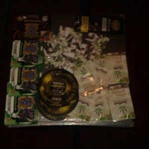 IMAG0125.jpg