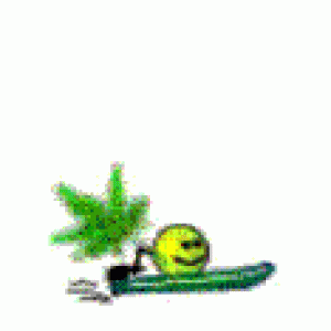 Ee1