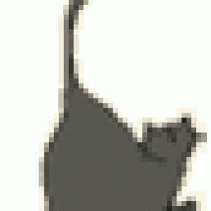 442487
