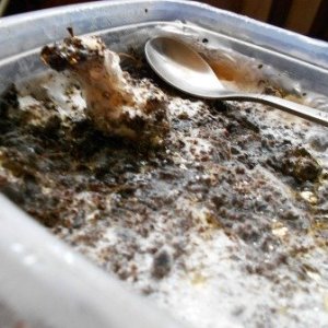 DSCN0642