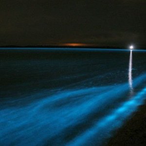 gippsland lakes 2