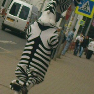 DSC01018