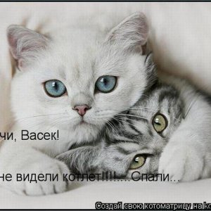 к1
