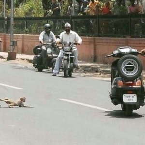 meanwhile In india 07
