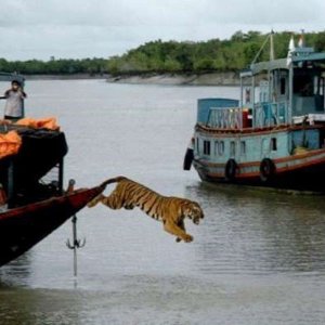 meanwhile In india 09