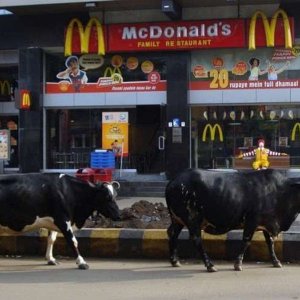 meanwhile In india 19