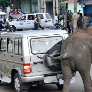 meanwhile In india 22