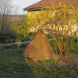 Vigvam 1