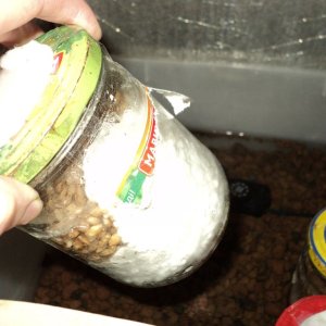 неделя прошла